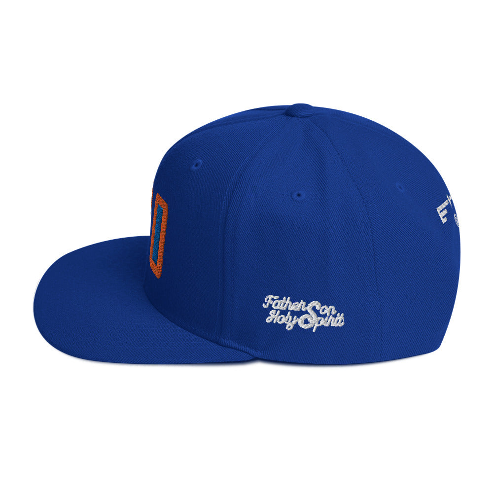 Hat 010 "FSH 3D Puff Embroidery"  Snapback